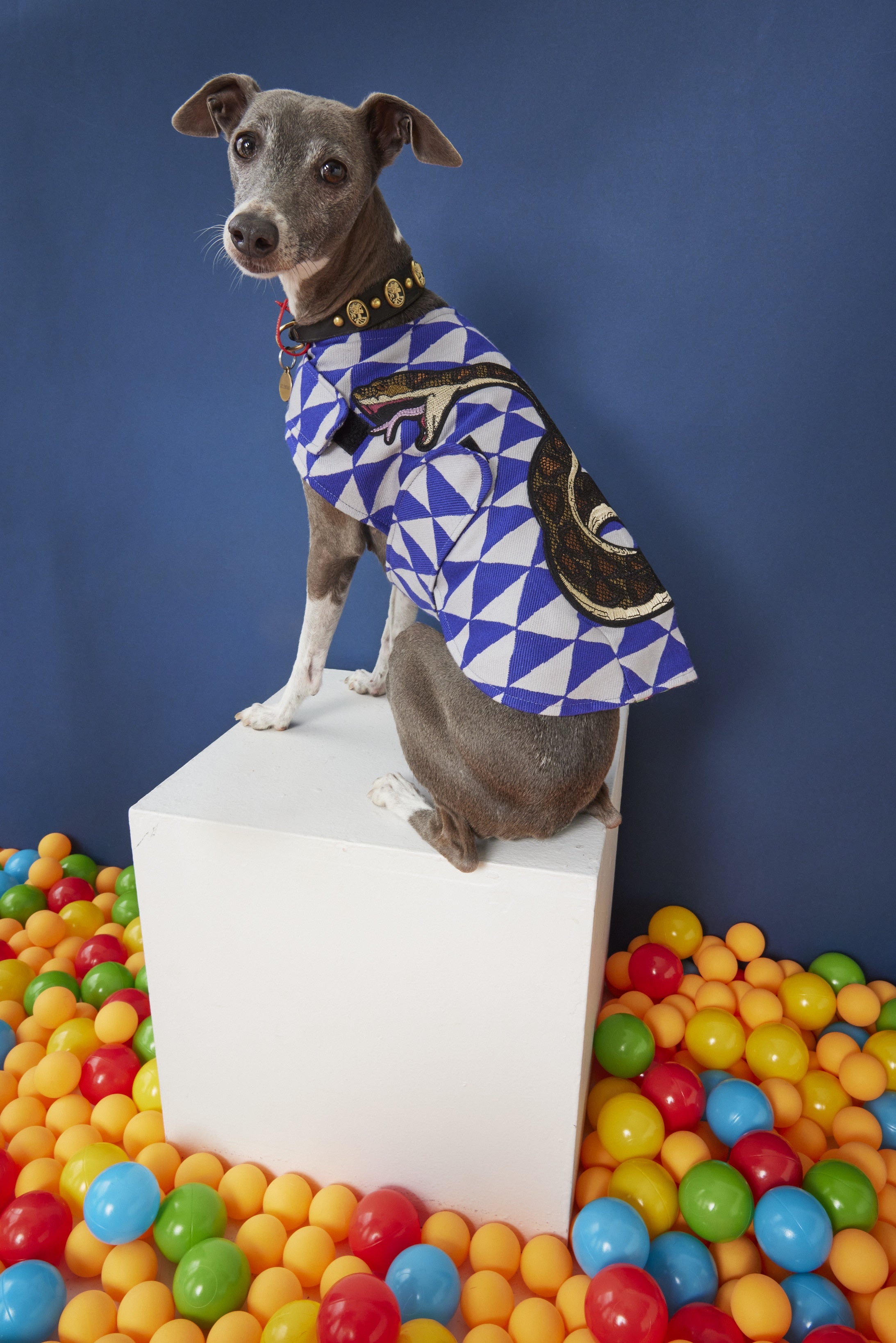 WORLD Loves Mr.Soft Top Dog Coat - Purple Geometric
