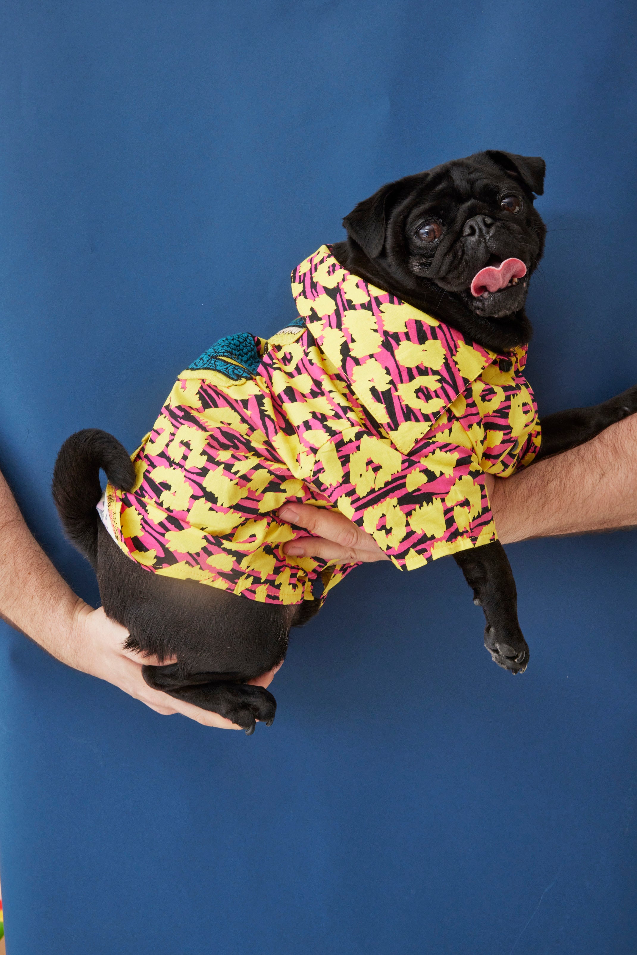 WORLD Loves Mr.Soft Top Dog Dress Shirt - Electric Animal Print