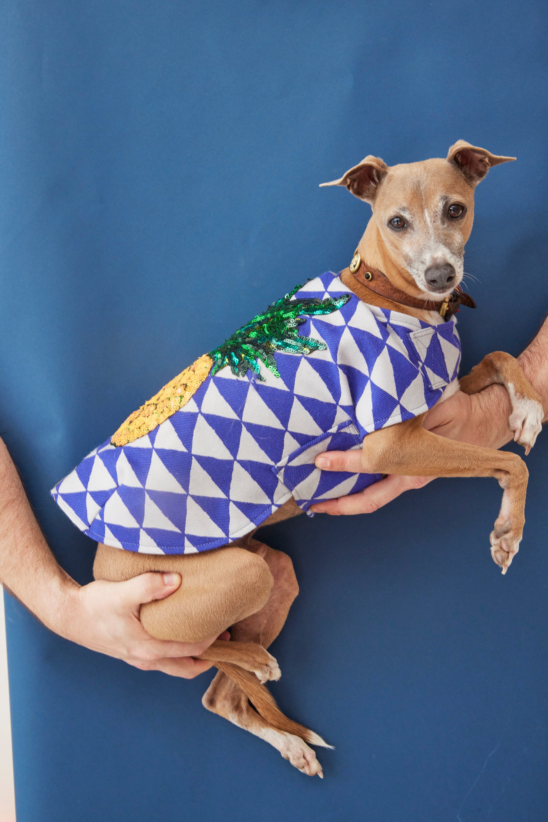 WORLD Loves Mr.Soft Top Dog Coat - Purple Geometric