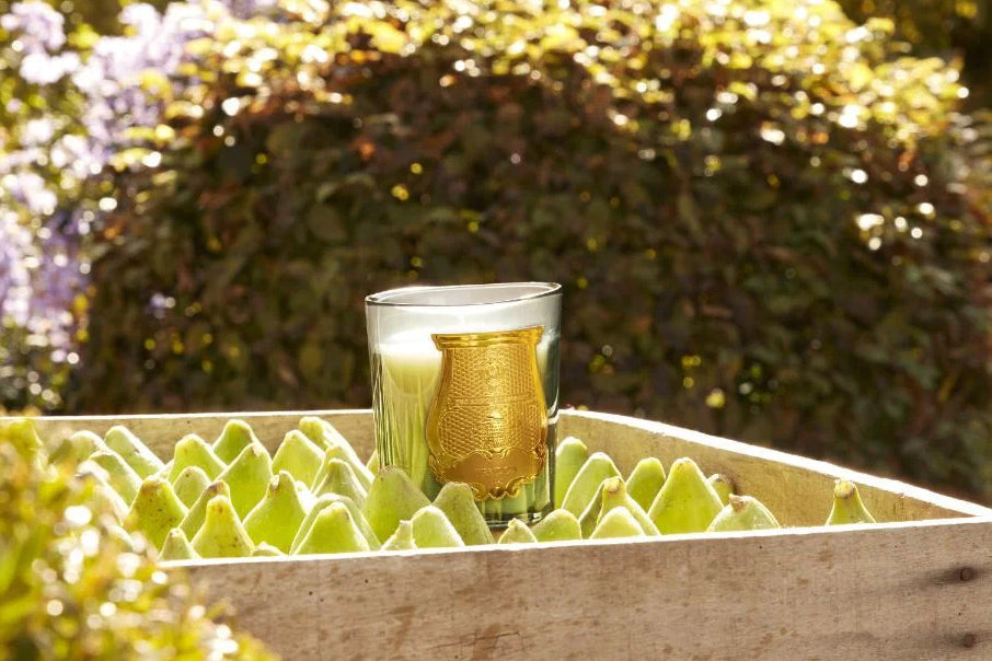 Trudon - Figuerie - Limited Edition