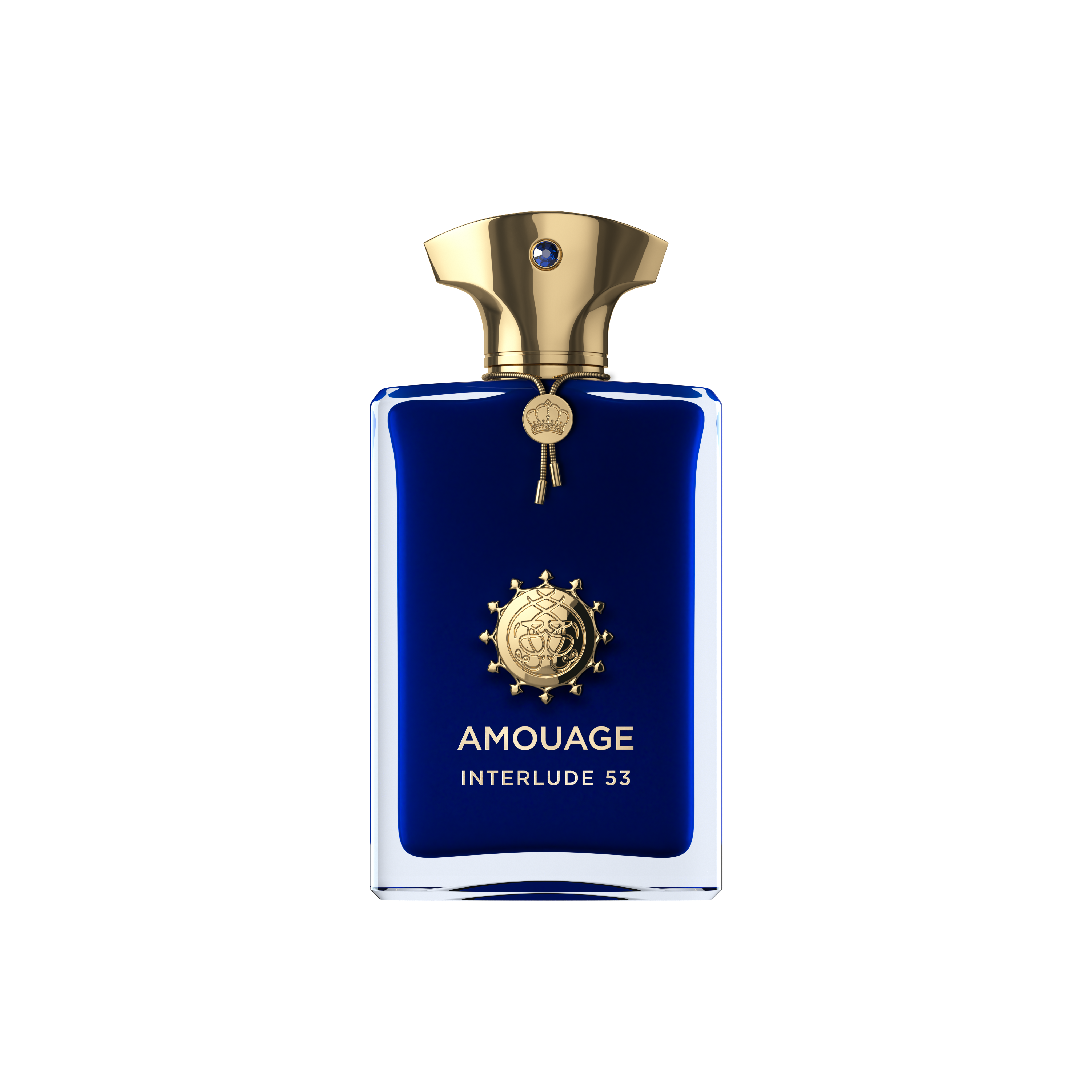 AMOUAGE Interlude 53 Exceptional Extrait 100ml — WORLD