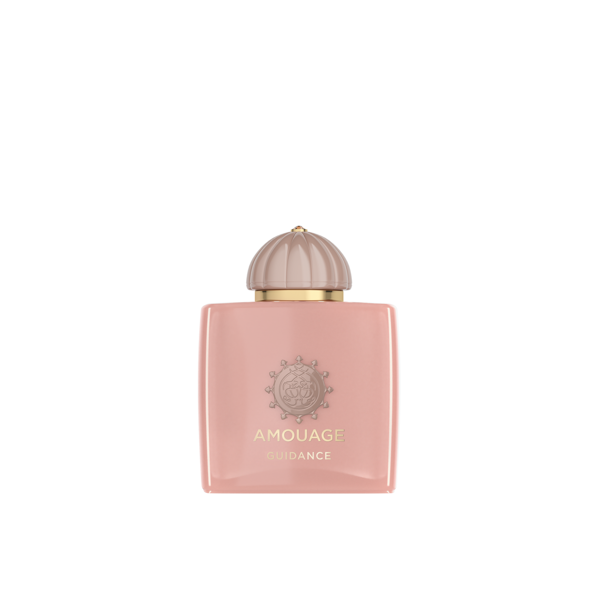 AMOUAGE Guidance 100ml — WORLD