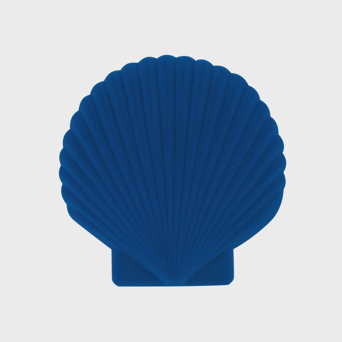 Doiy: Venus Shell Jewellery Box Blue Flocking
