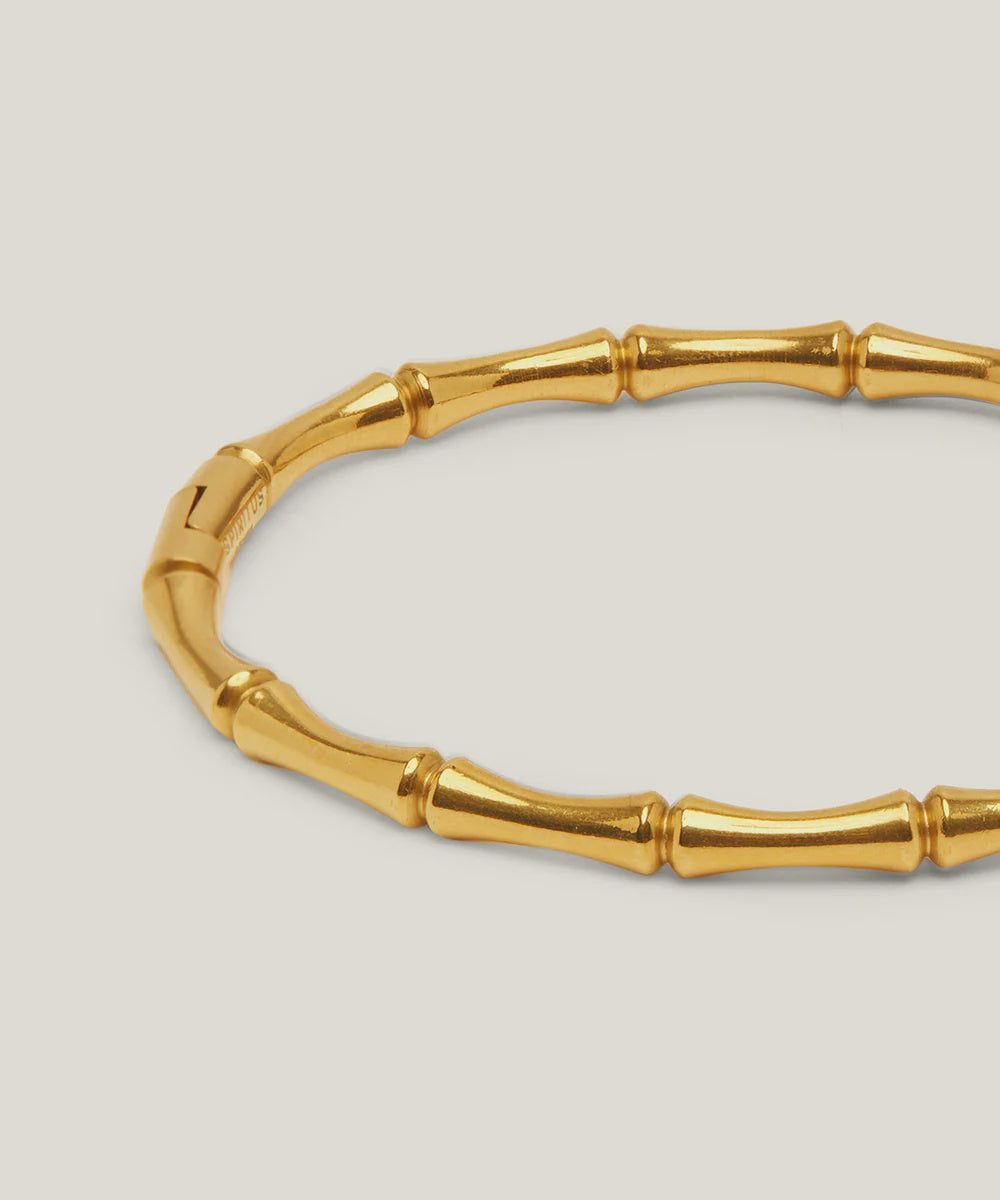 Spiritus Stones - Golden Resilience Bracelet