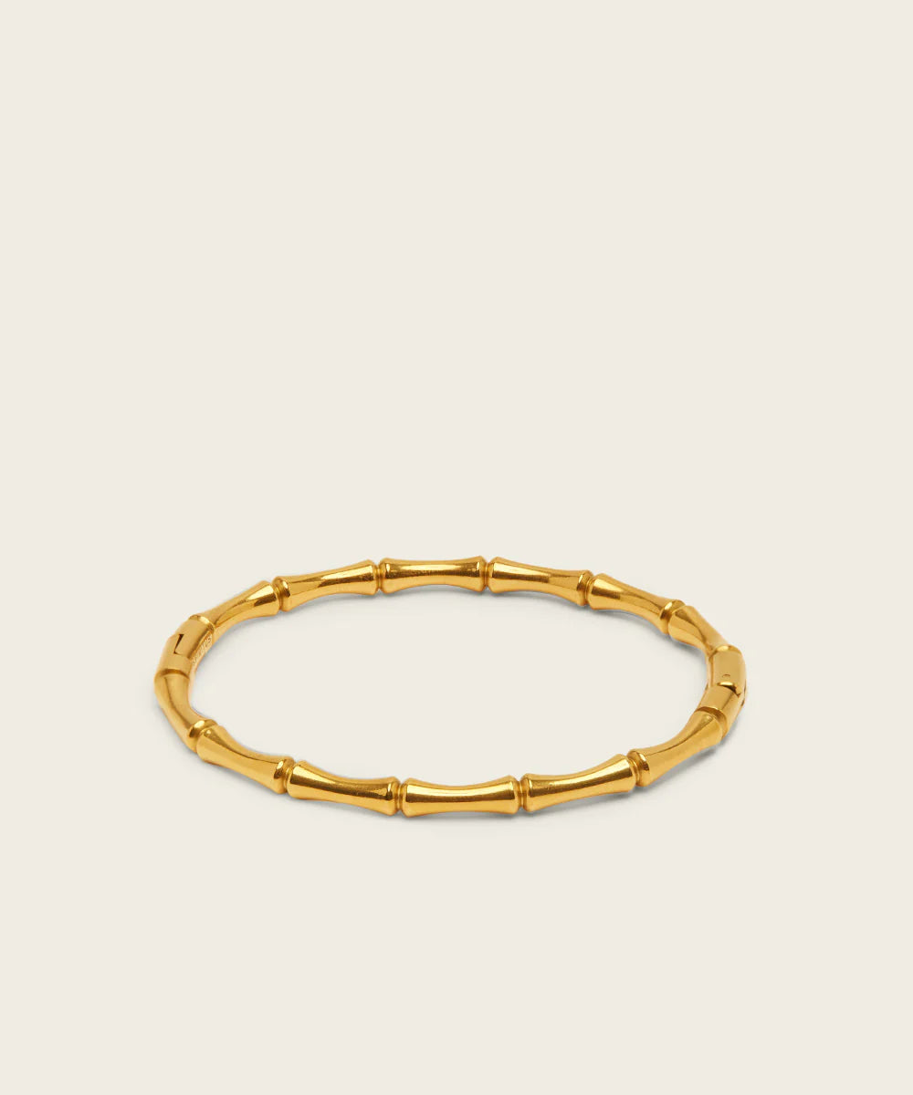 Spiritus Stones - Golden Resilience Bracelet