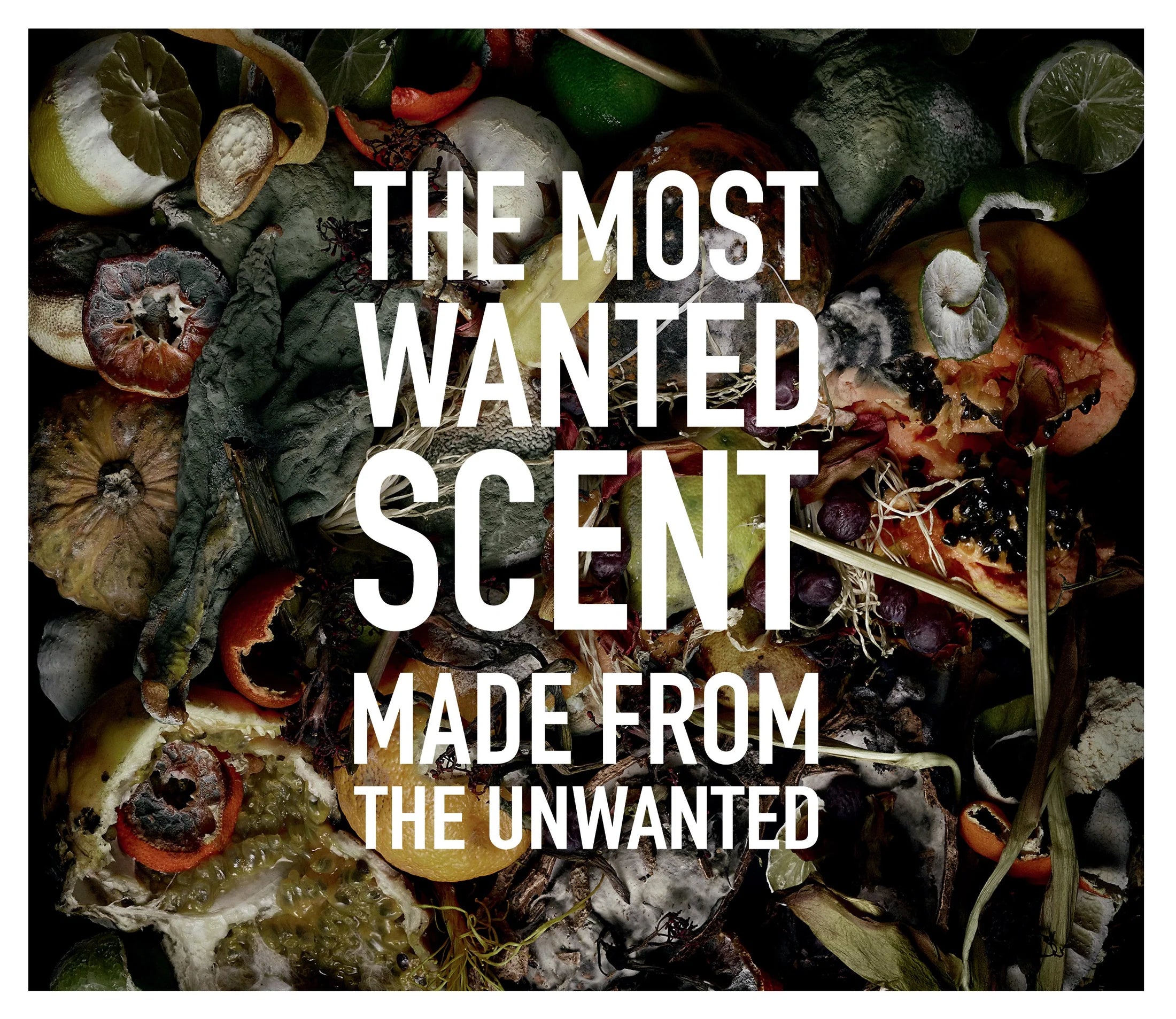 Etat Libre d'Orange I Am Trash EDP 50ml