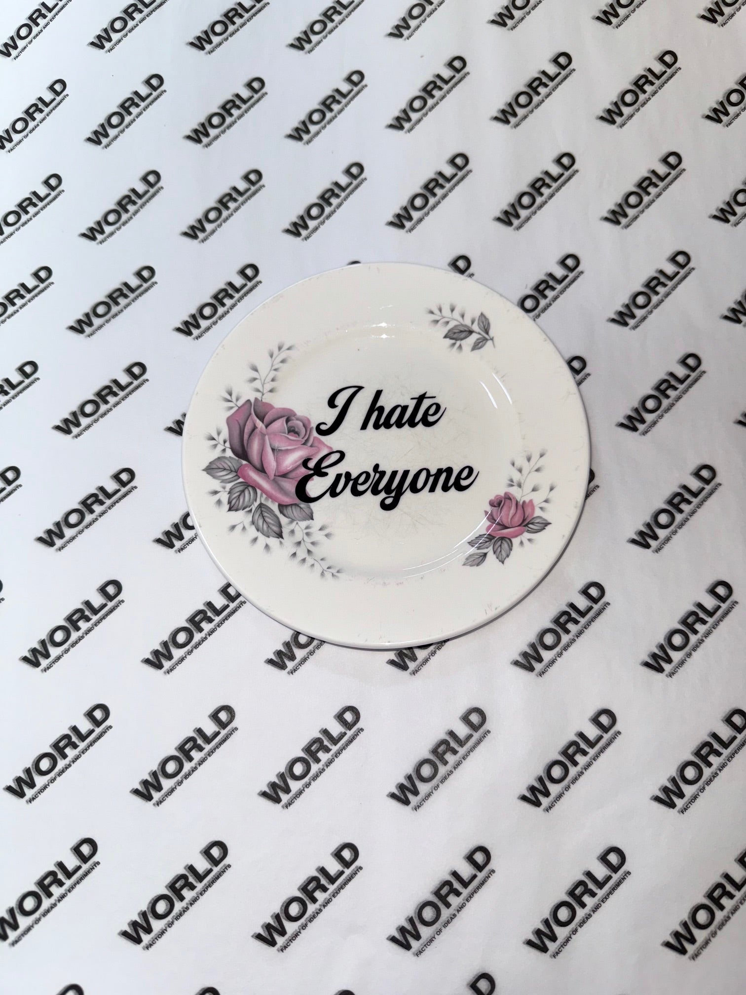 Vintage Ceramic Plate with Naughty Words & Phrases