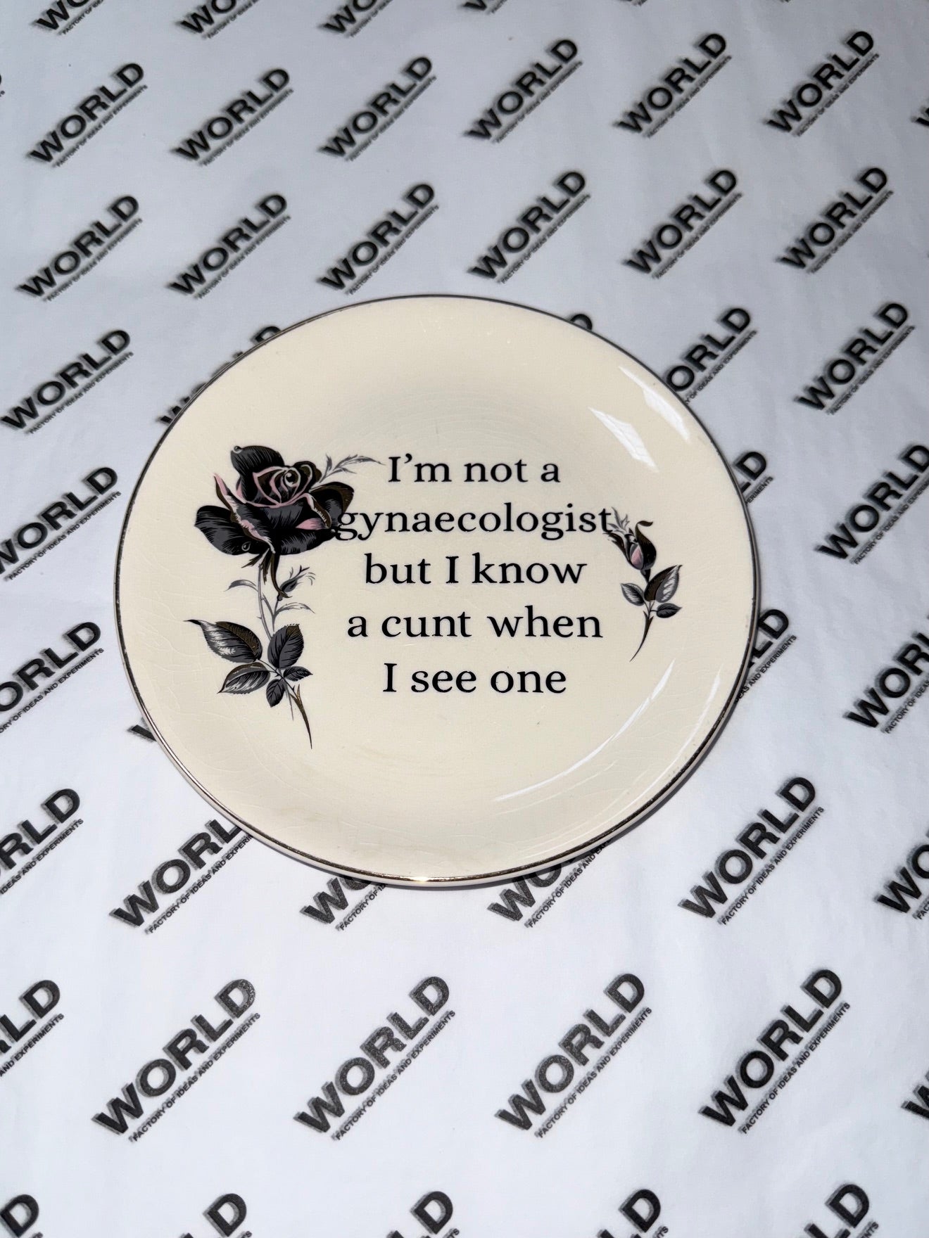 Vintage Ceramic Plate with Naughty Words & Phrases