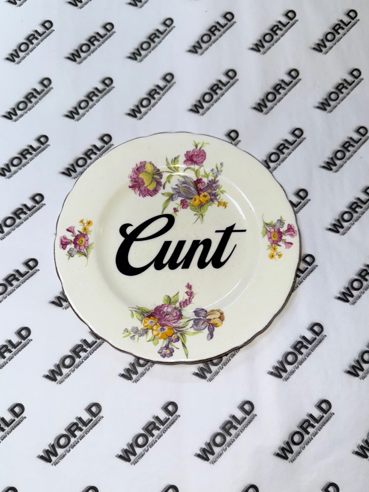 Vintage Ceramic Plate with Naughty Words & Phrases