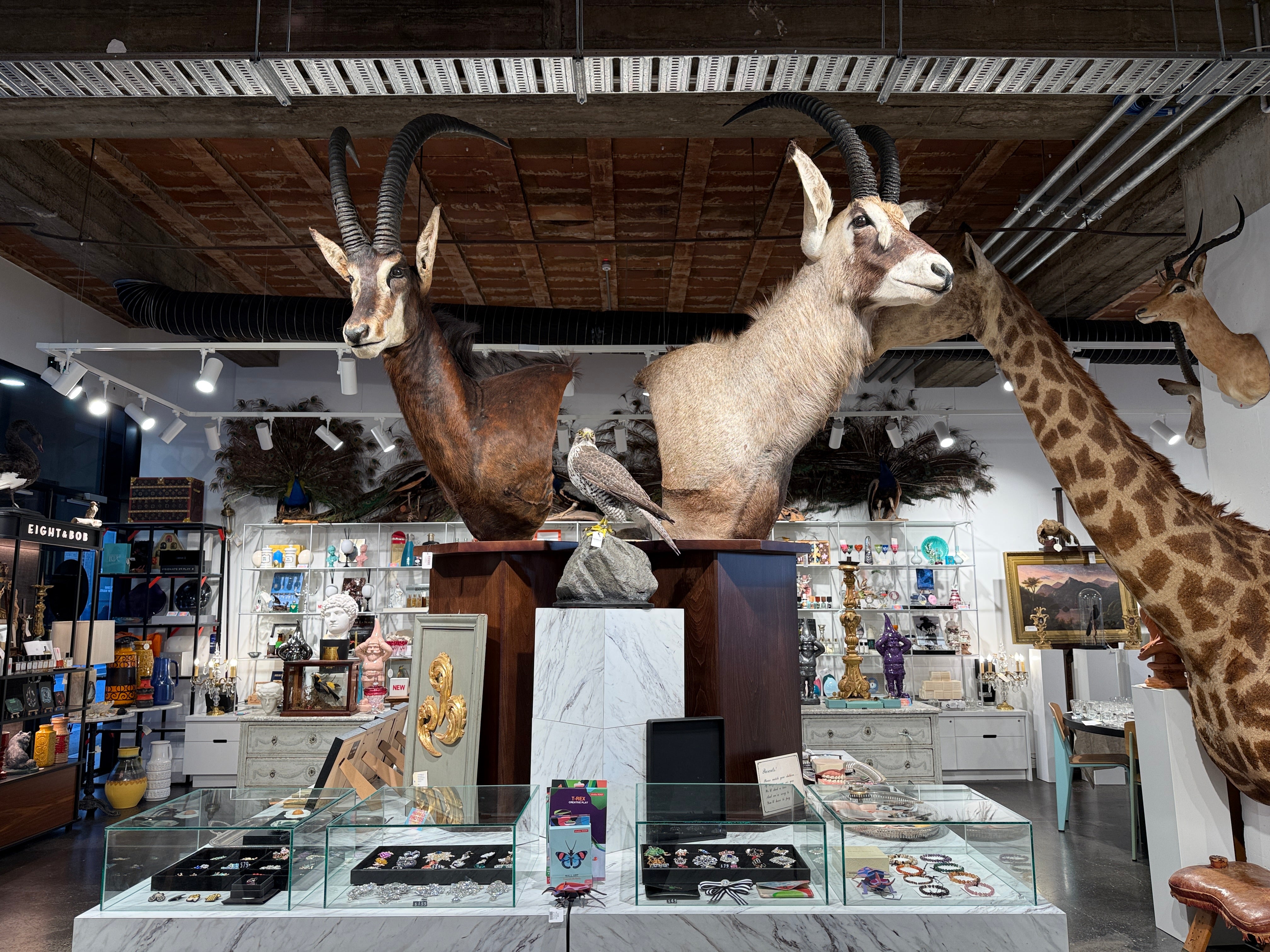 CT Roan Antelope on Pedestal