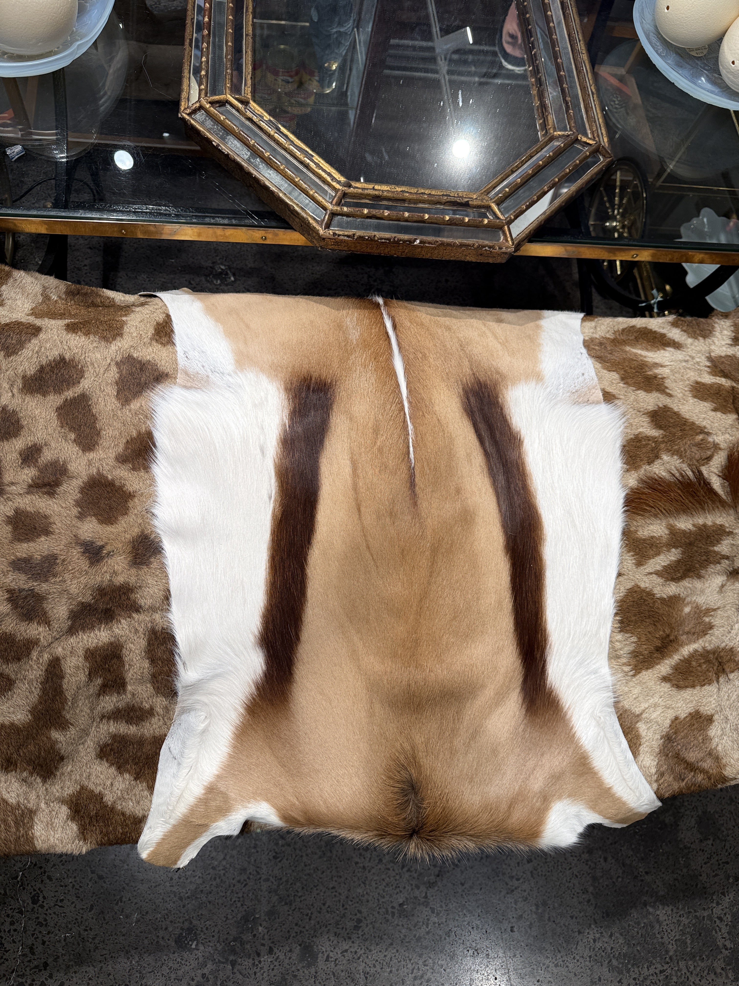 CT Springbok Skin