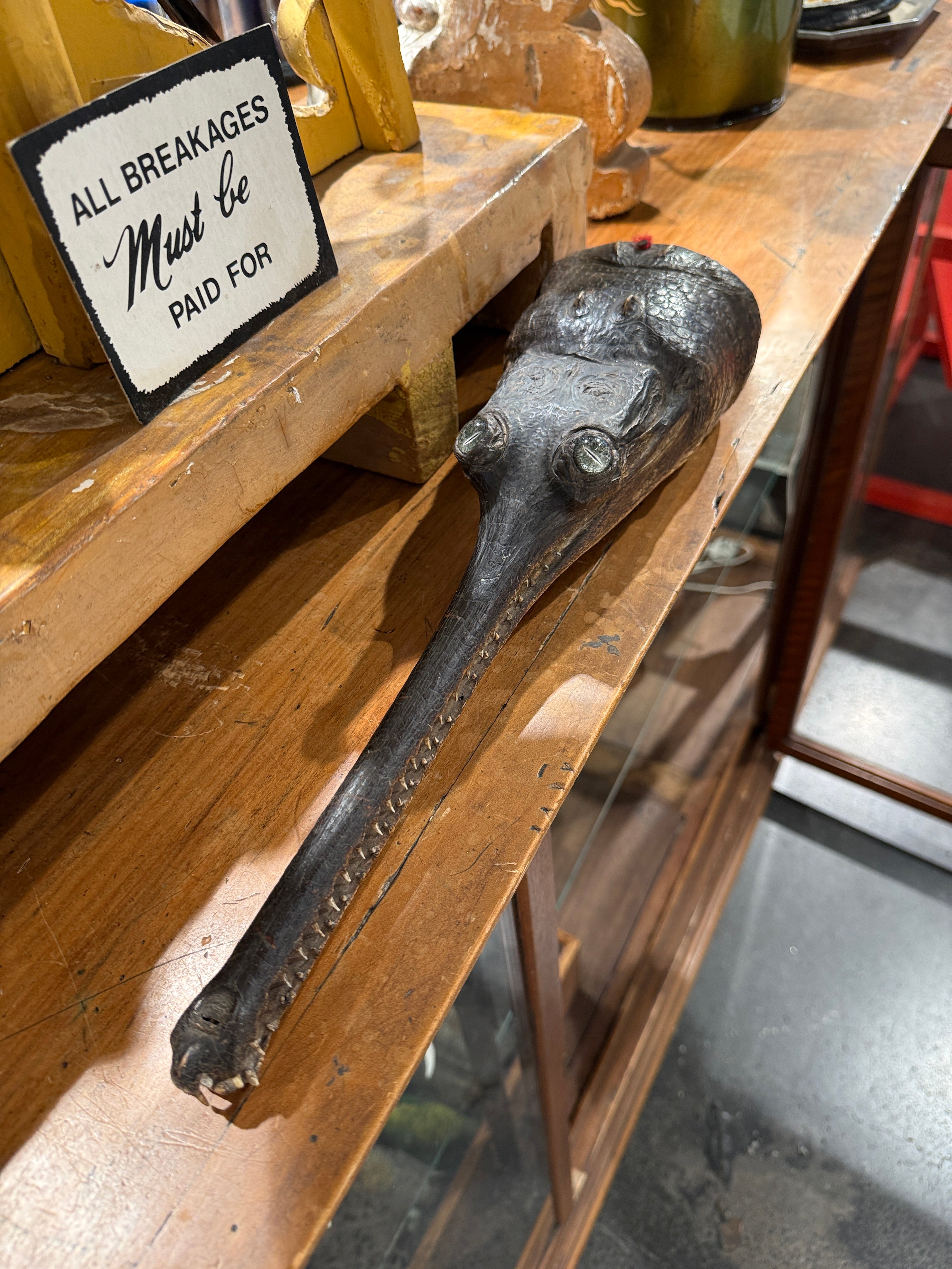 CT Gharial
