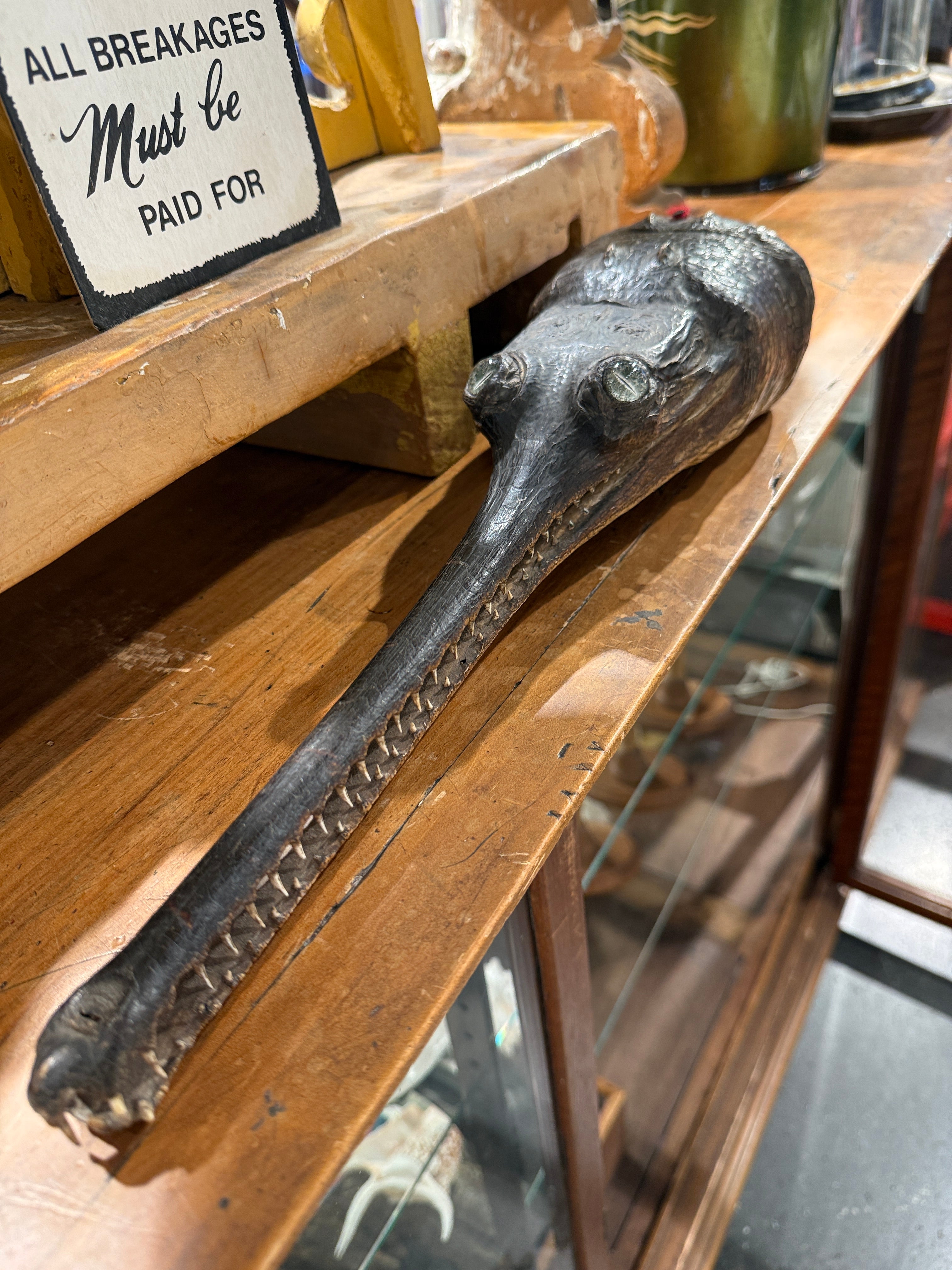 CT Gharial
