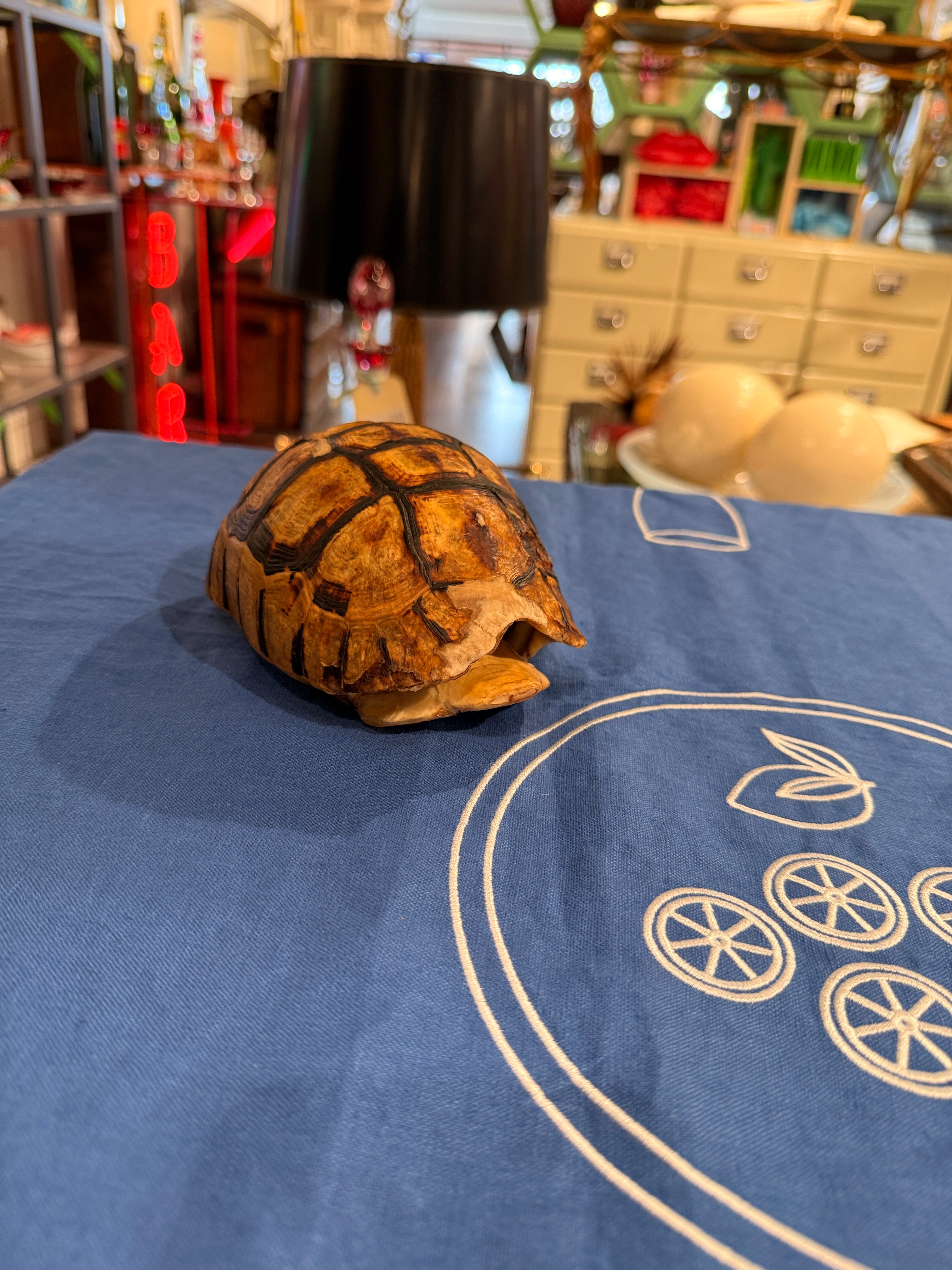CT Angulate Tortoise Shell