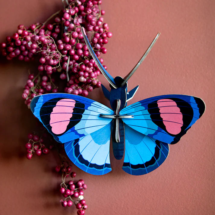Studio Roof: Wall Art Butterflies (B7) Peacock Butterfly
