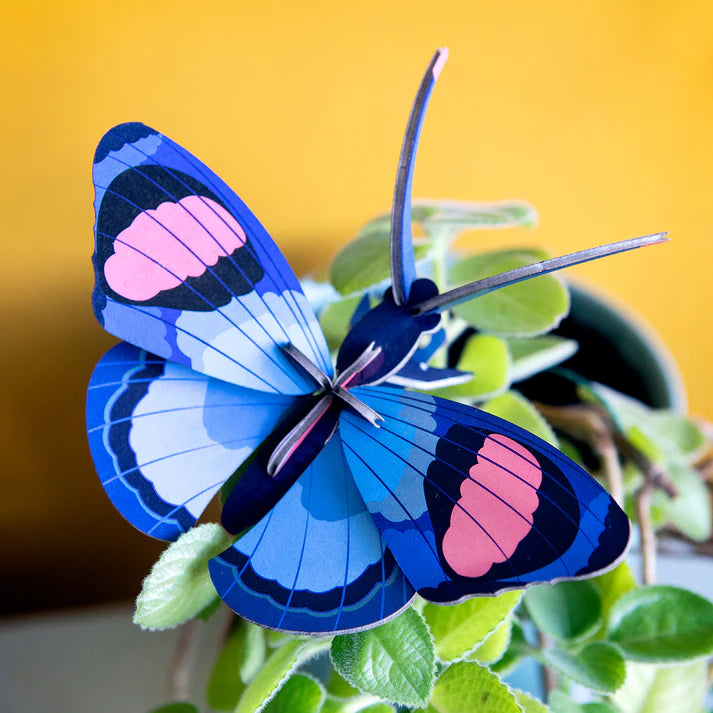 Studio Roof: Wall Art Butterflies (B7) Peacock Butterfly