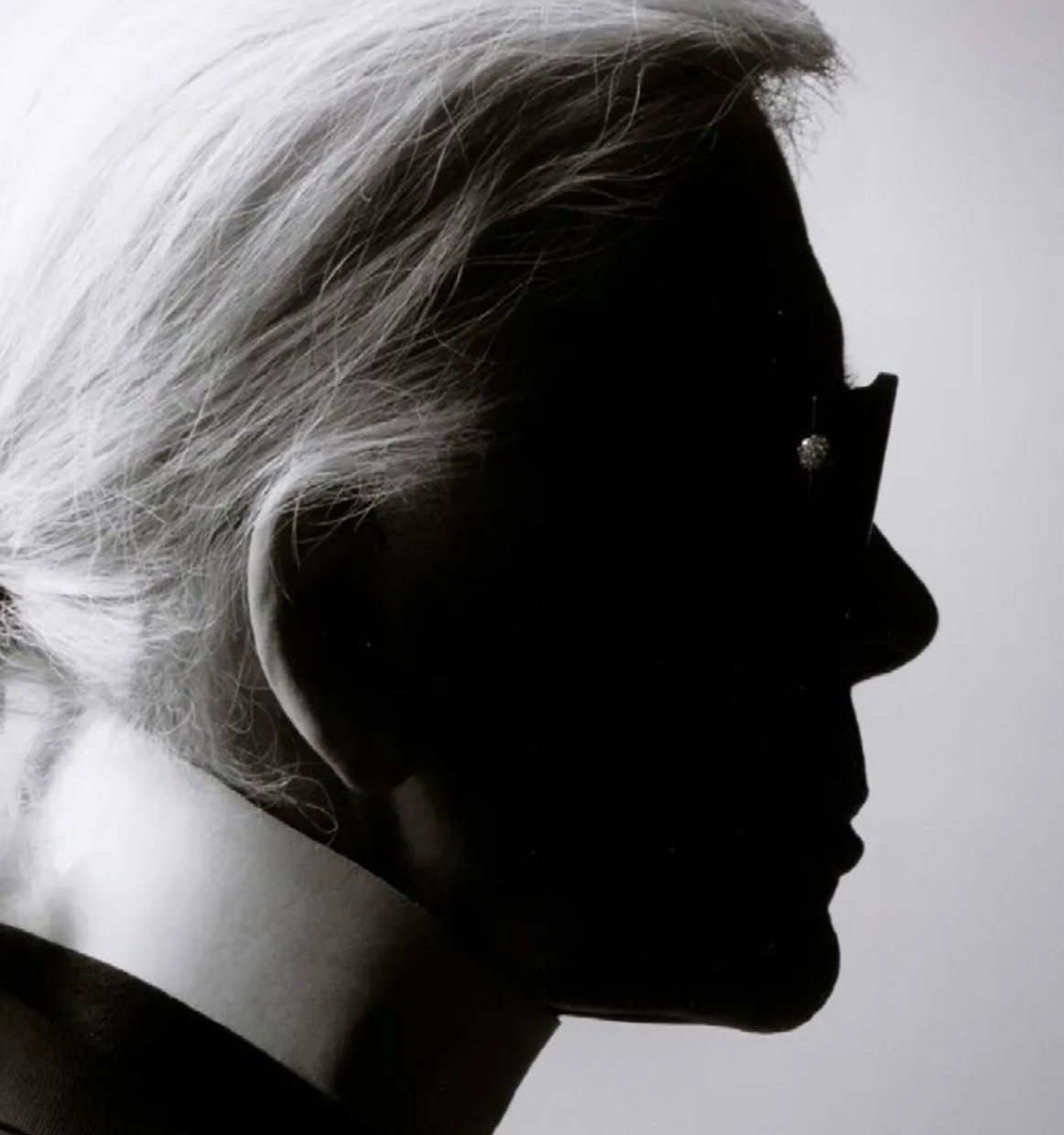 ANTON HART & WORLD - Profile of a Fashion Icon Sculpture - Lagerfeld