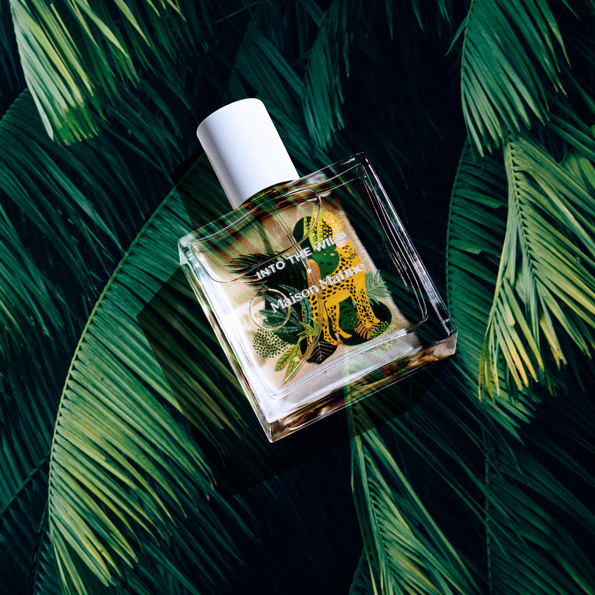 Maison Matine Into the Wild 50ml — WORLD