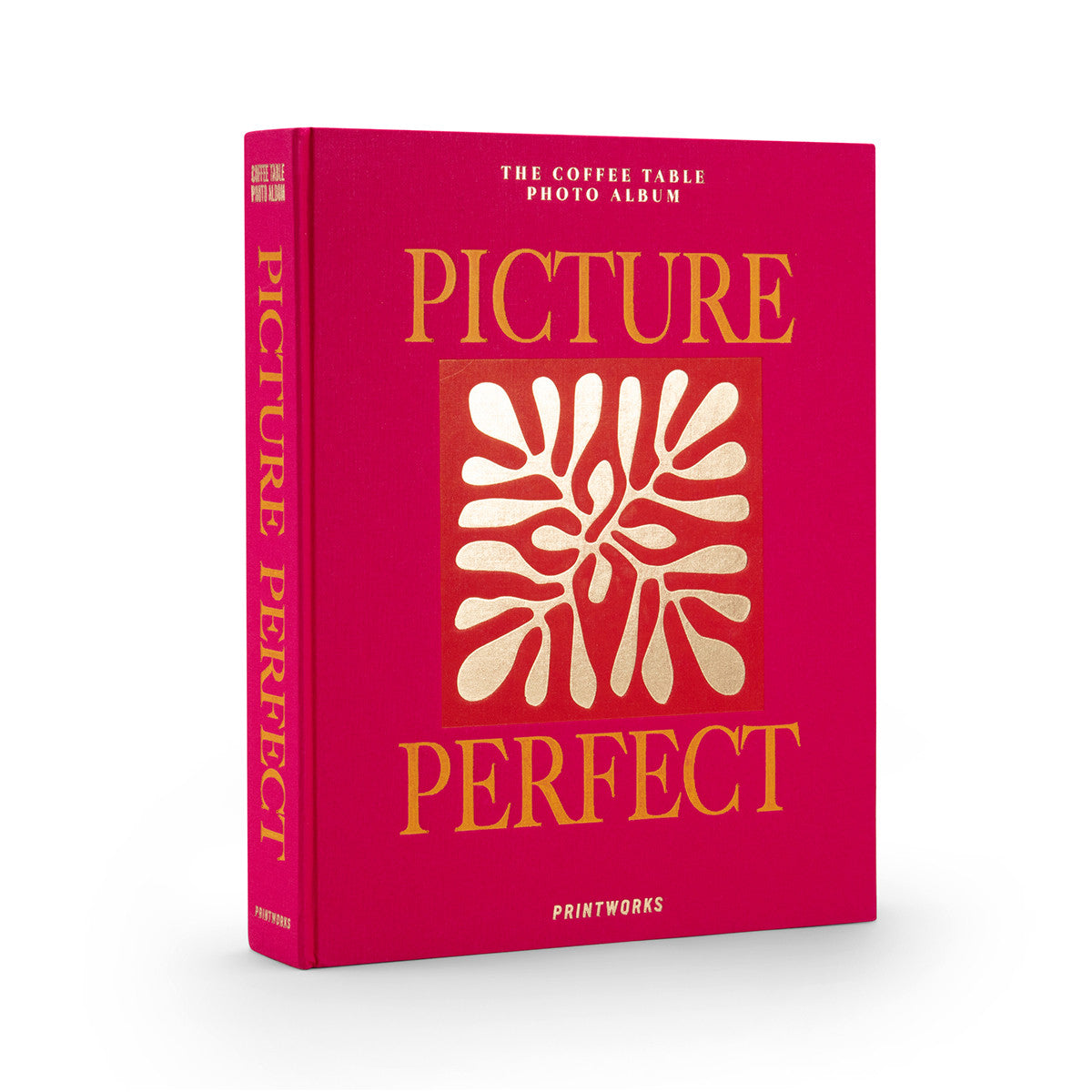 Printworks: Photo Album Display Box