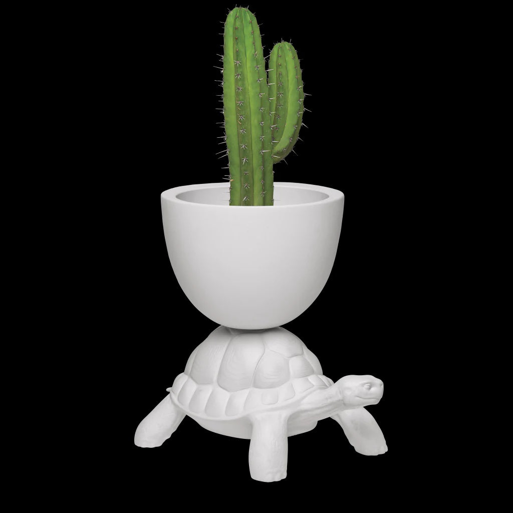 Qeeboo Turtle Carry Planter & Champagne Cooler - White