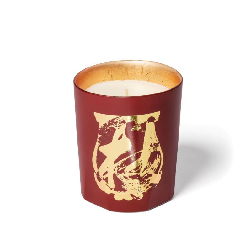 CIRE TRUDON CANDLE 270g MAÎTRE TSENG TERRE À TERRE — WORLD
